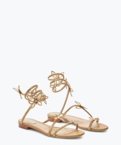 Upwardunity.shop66dece57be 2